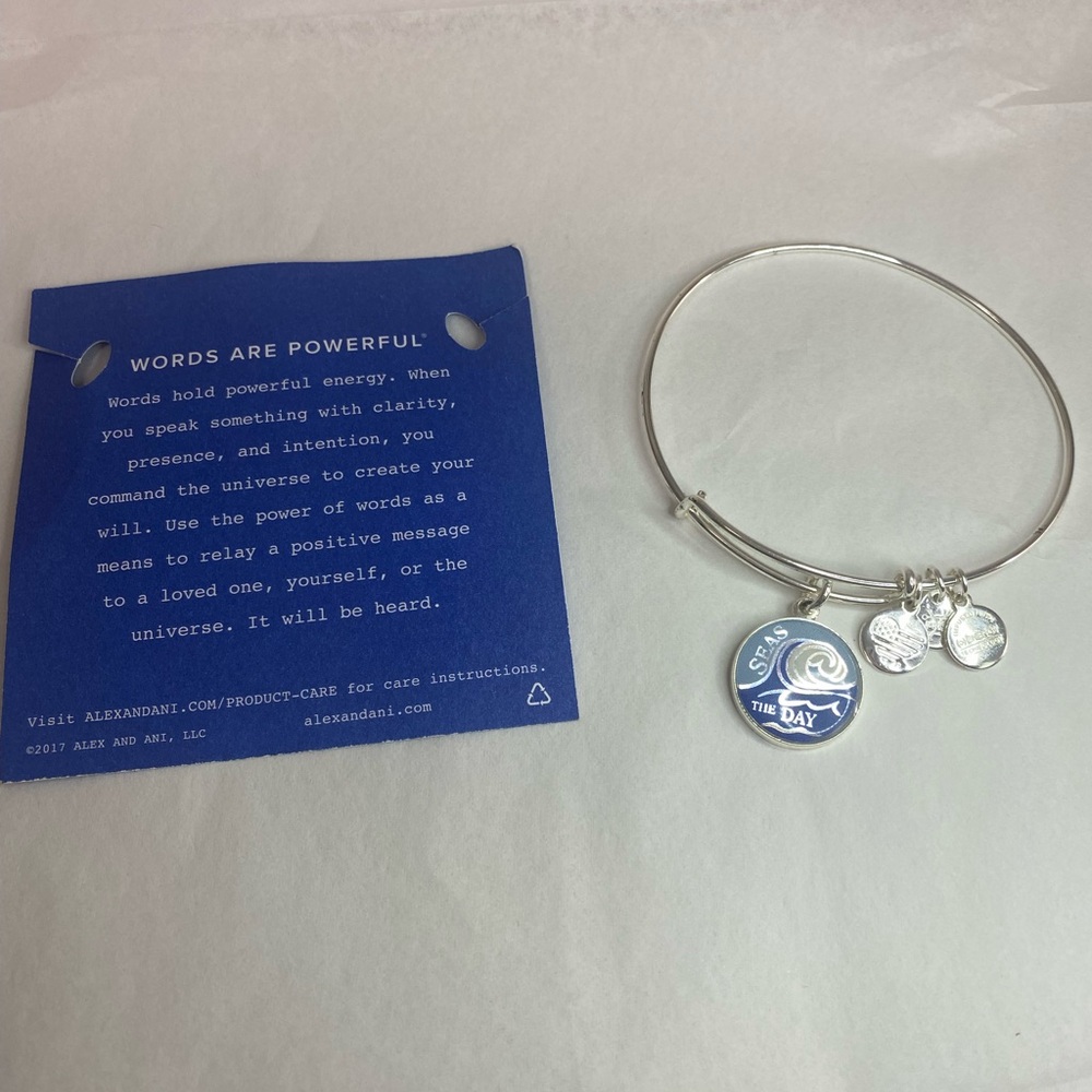 🔴⬇️ ALEX AND ANI silver tone Seas the day bracelet 🌊 good energy ✨ - Picture 3 of 4
